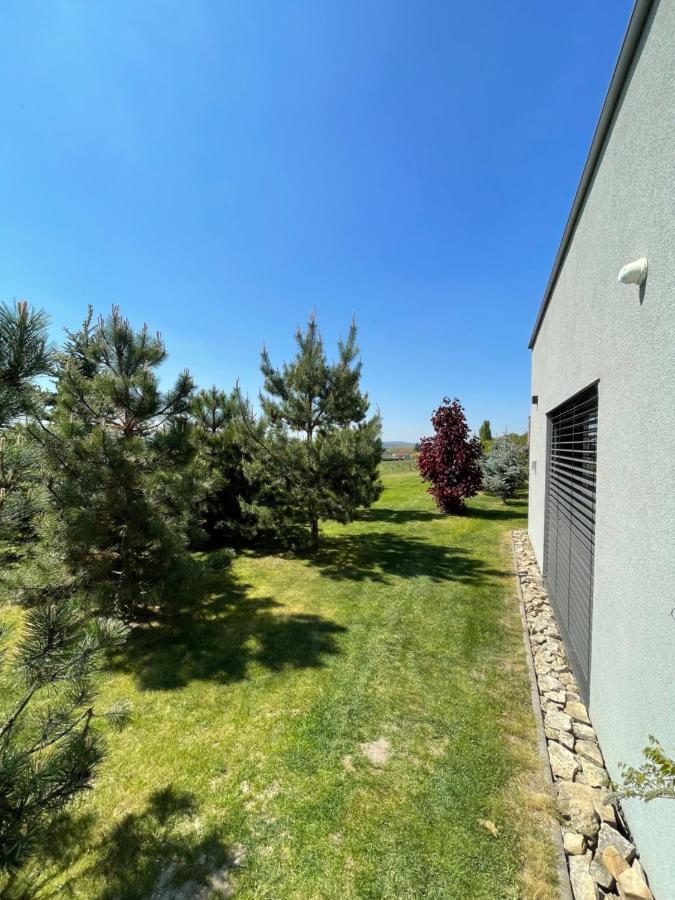 Ubytovani U Vinice Melnik Exterior photo